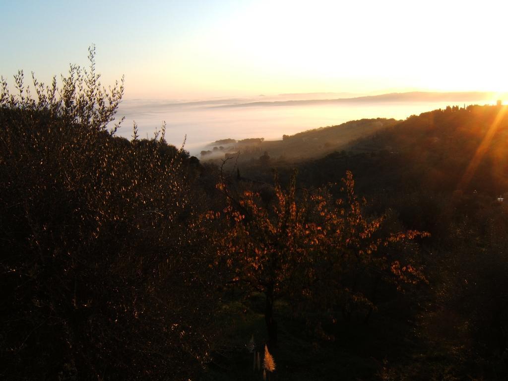 Villa Santa Maria Montalcino Dış mekan fotoğraf